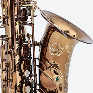 Alto CAS50C Series Saxophone in Dark Cognac Lacquer (NEW)